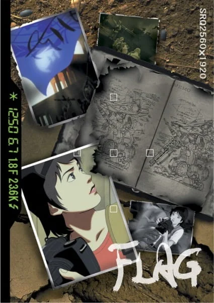 Флаг (2006)