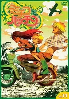 Митико и Хаттин (2008)