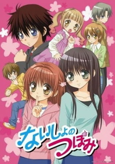 Секреты Цубоми (2008)
